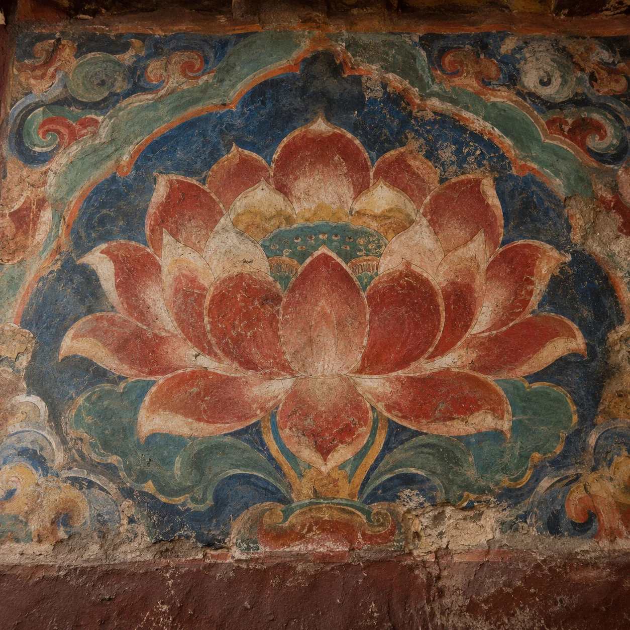 LOTUS